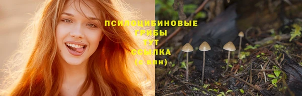амф Богданович