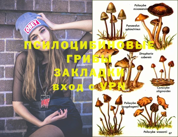 амф Богданович