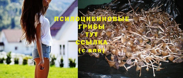 mdpv Богородск