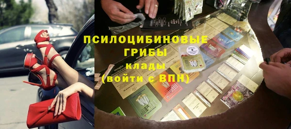 амф Богданович